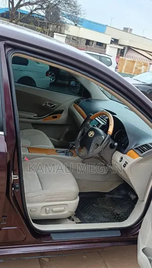 Toyota Premio 2009 Burgundy