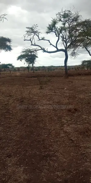 100 Acres on Mombasa-Nairobi Road Between Masimba Kiboko Is for Sale