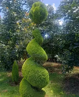 Landscaping Services
