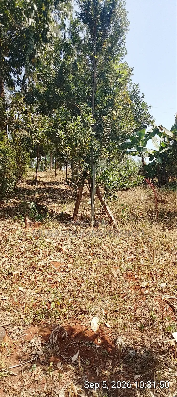 Nembure 1⁄2acre