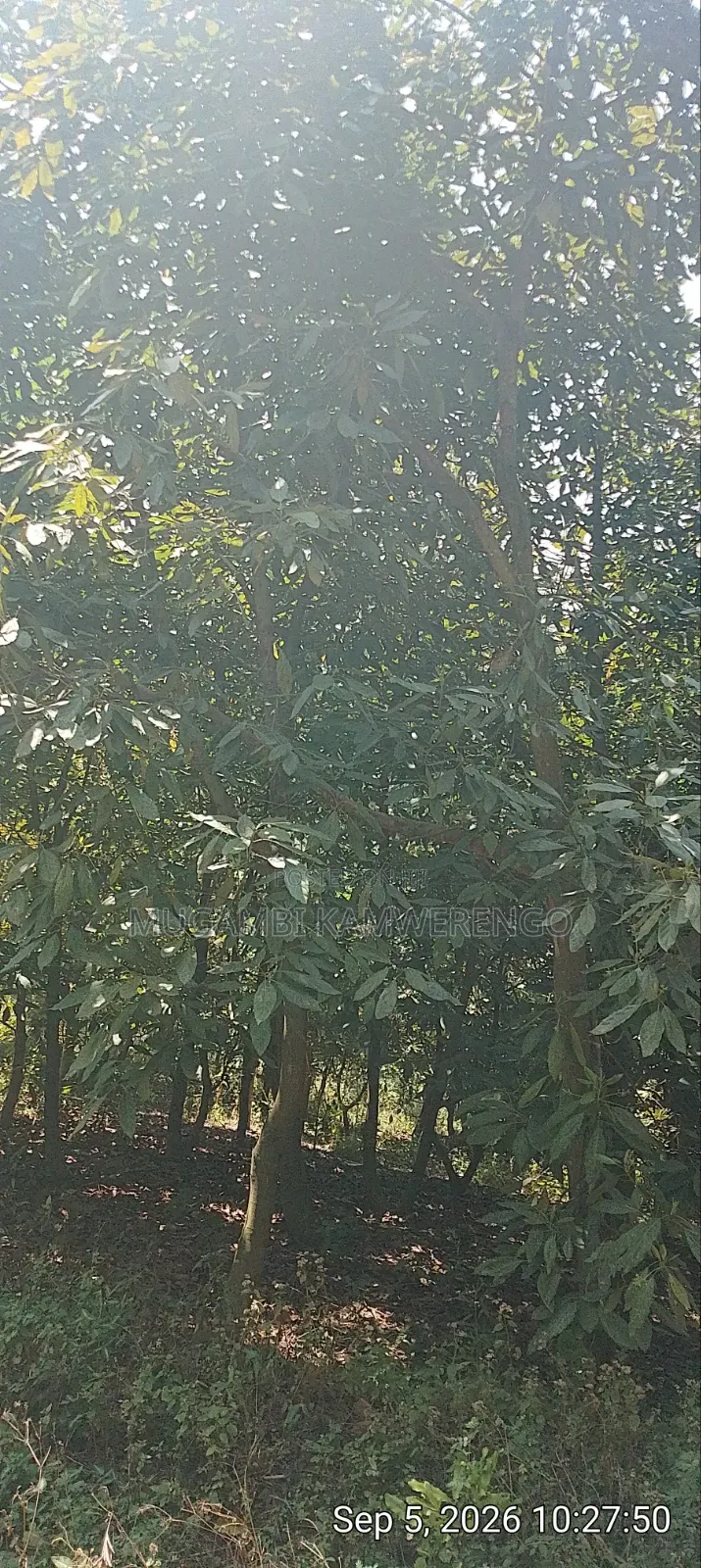 Nembure 1⁄2acre