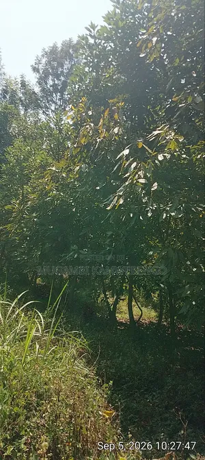 Nembure 1⁄2acre