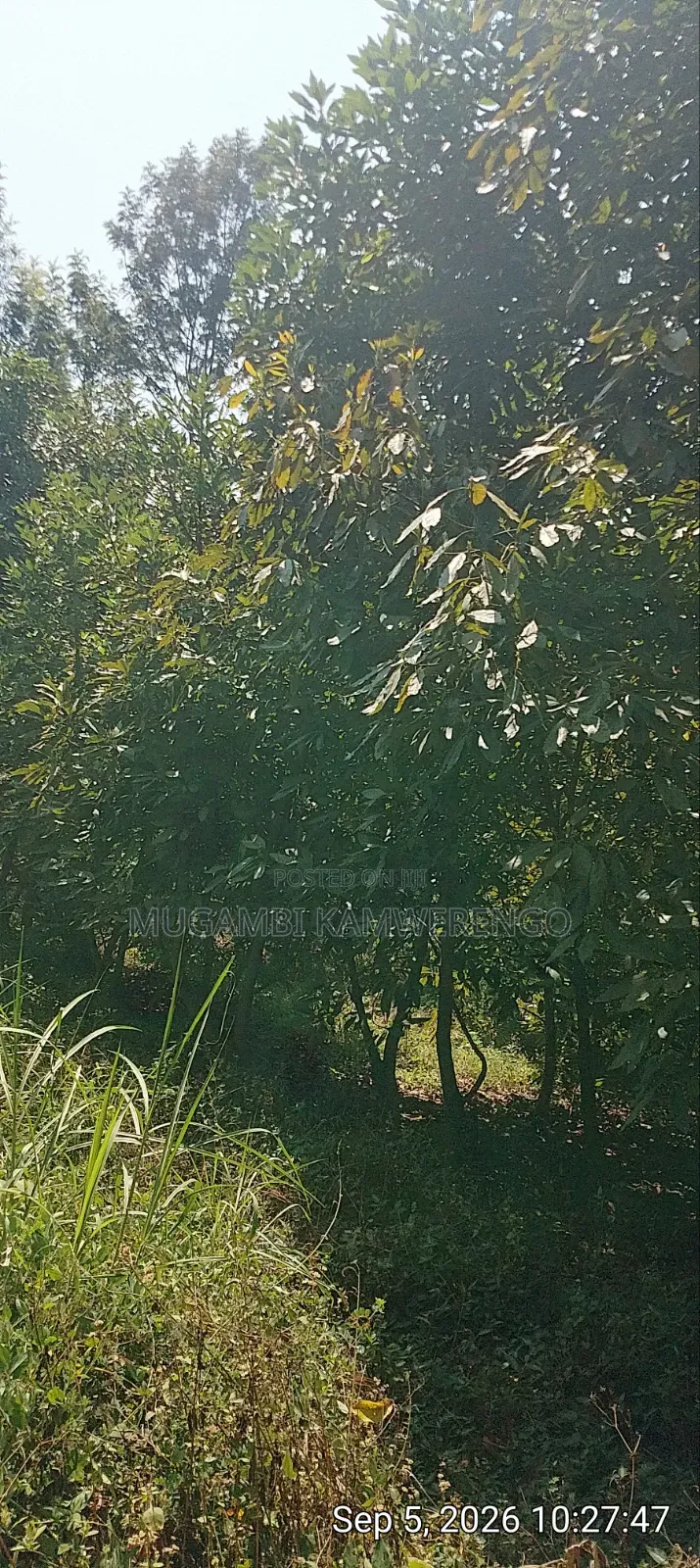 Nembure 1⁄2acre