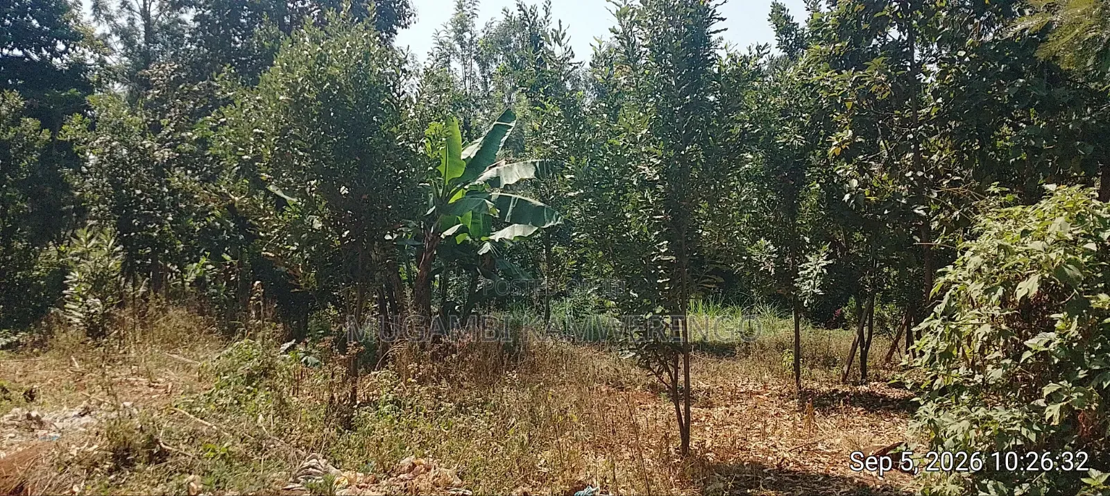 Nembure 1⁄2acre