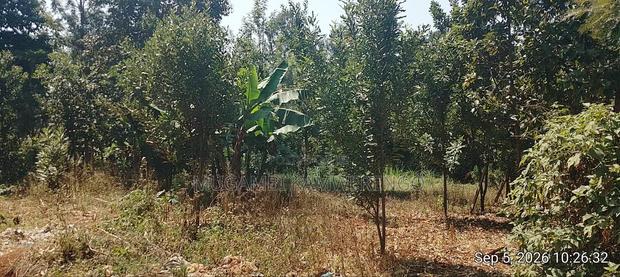 Nembure 1⁄2acre - thumbnail 6