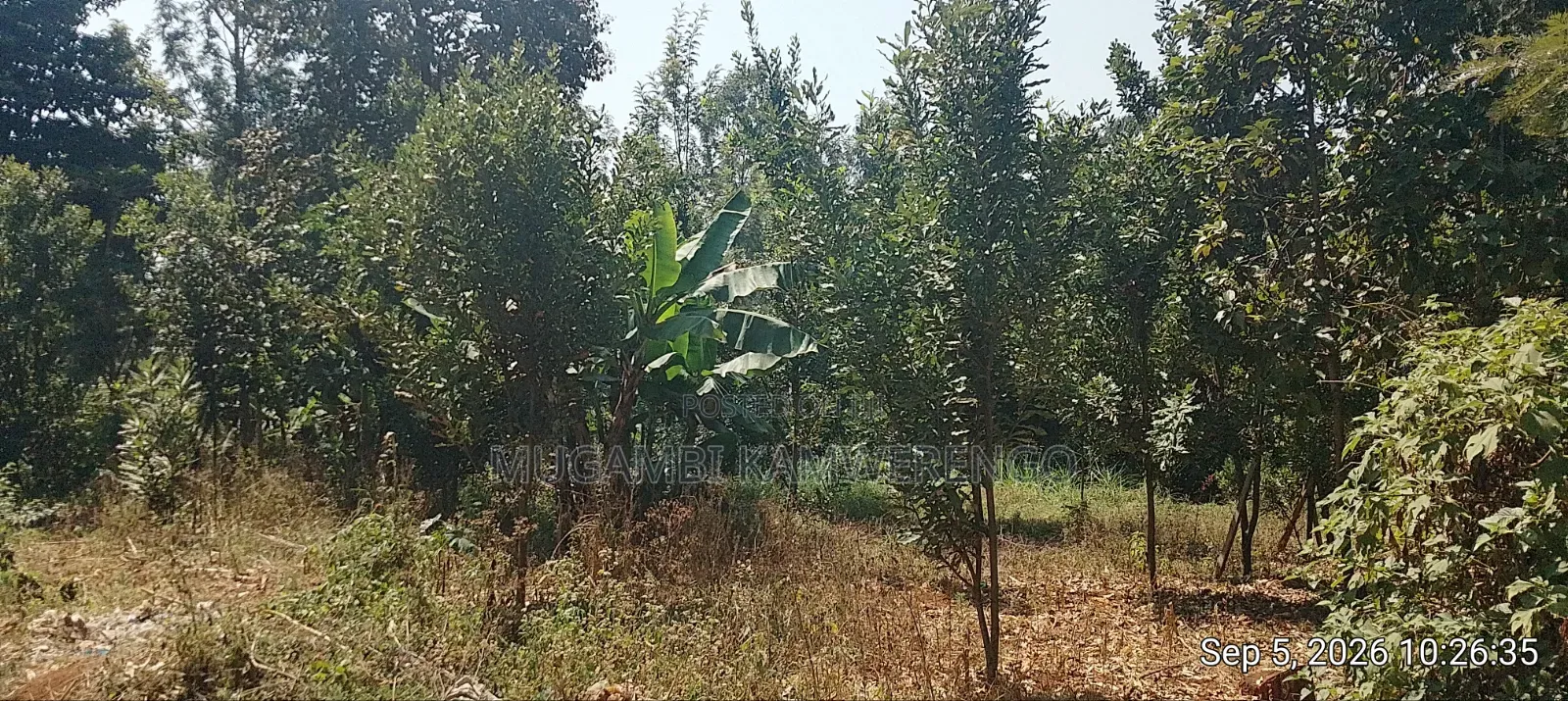 Nembure 1⁄2acre