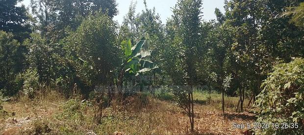 Nembure 1⁄2acre - thumbnail 7