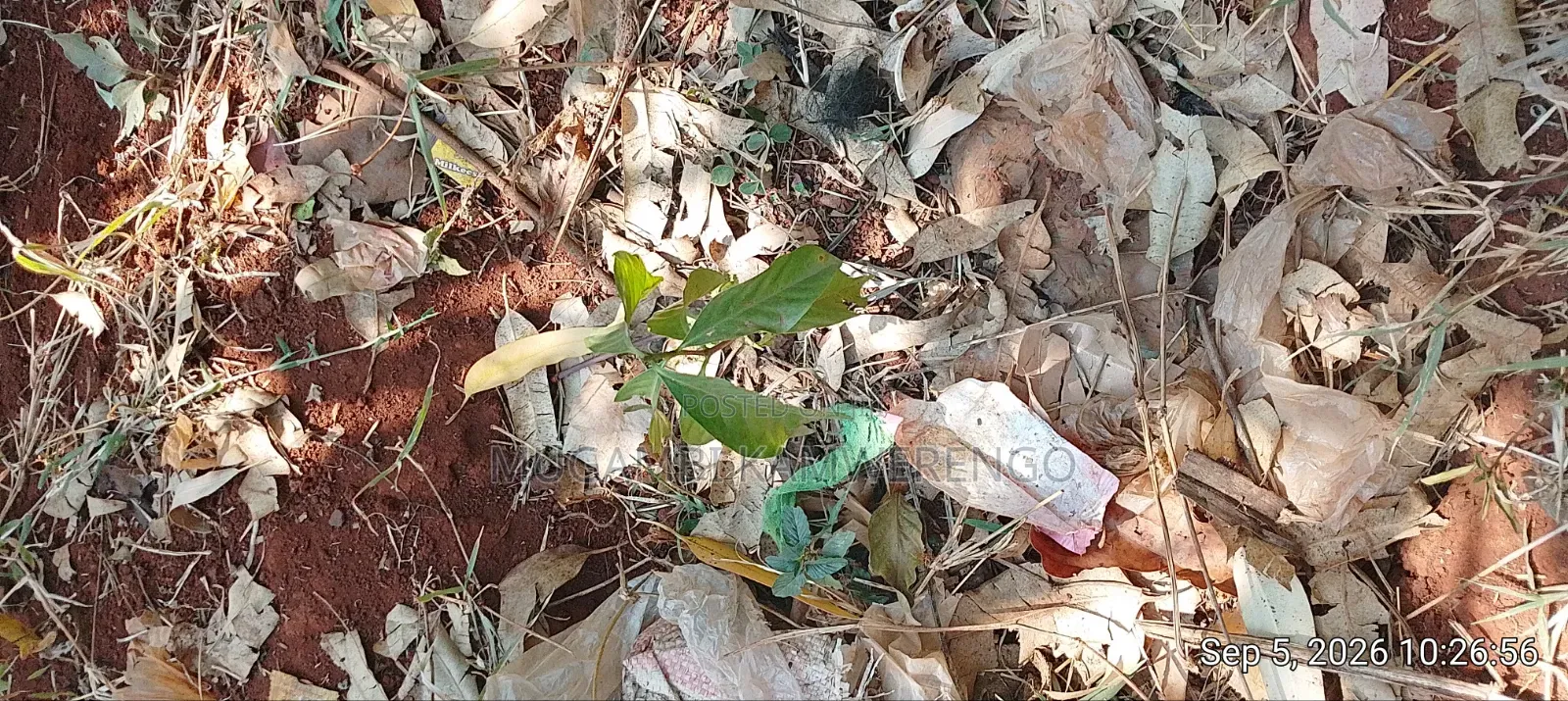 Nembure 1⁄2acre