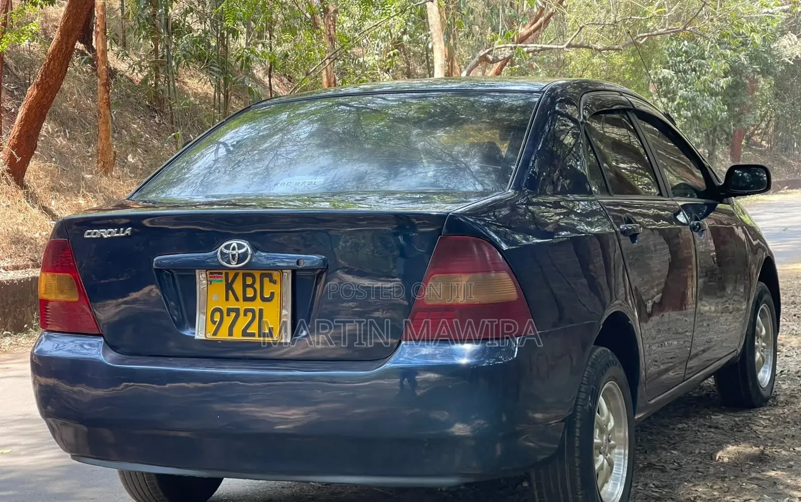 Toyota Corolla 2004 Blue