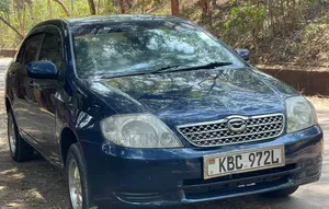 Toyota Corolla 2004 Blue
