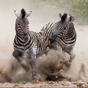 Lake Nakuru National PArk