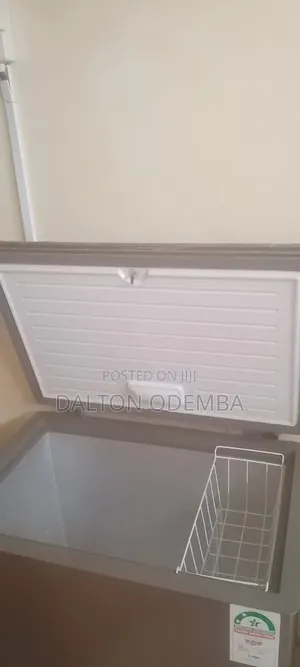 Haier 250L Freezer