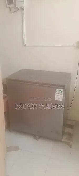 Haier 250L Freezer