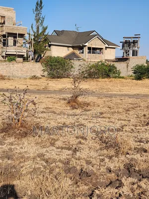 100 by 100 Acre Thika
