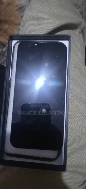 iPhone 13 Screen
