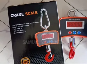 High Precision Digital Crane Scale