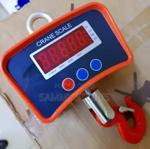 Industrial Hook Type Crane Scale