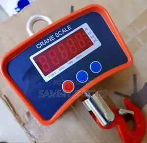 Heavy Duty Electronic Hanging Scale