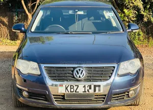 Volkswagen Passat 2008 Blue