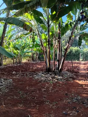 Golden Palm Gated Community Estate-Located Off Kiambu Road