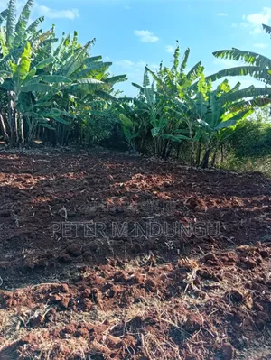 Golden Palm Gated Community Estate-Located Off Kiambu Road