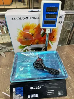 Acs 40 Digital Arm Scale - Up to 40kg