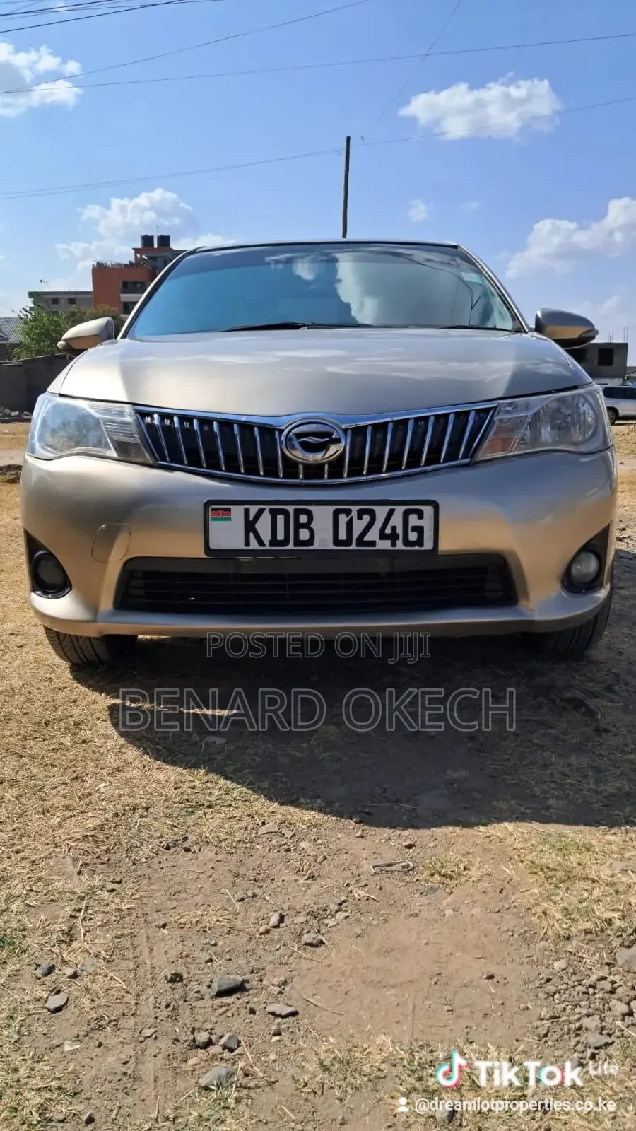 Toyota Axio 2013 Gold