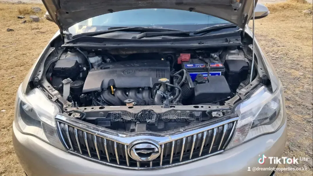 Toyota Axio 2013 Gold