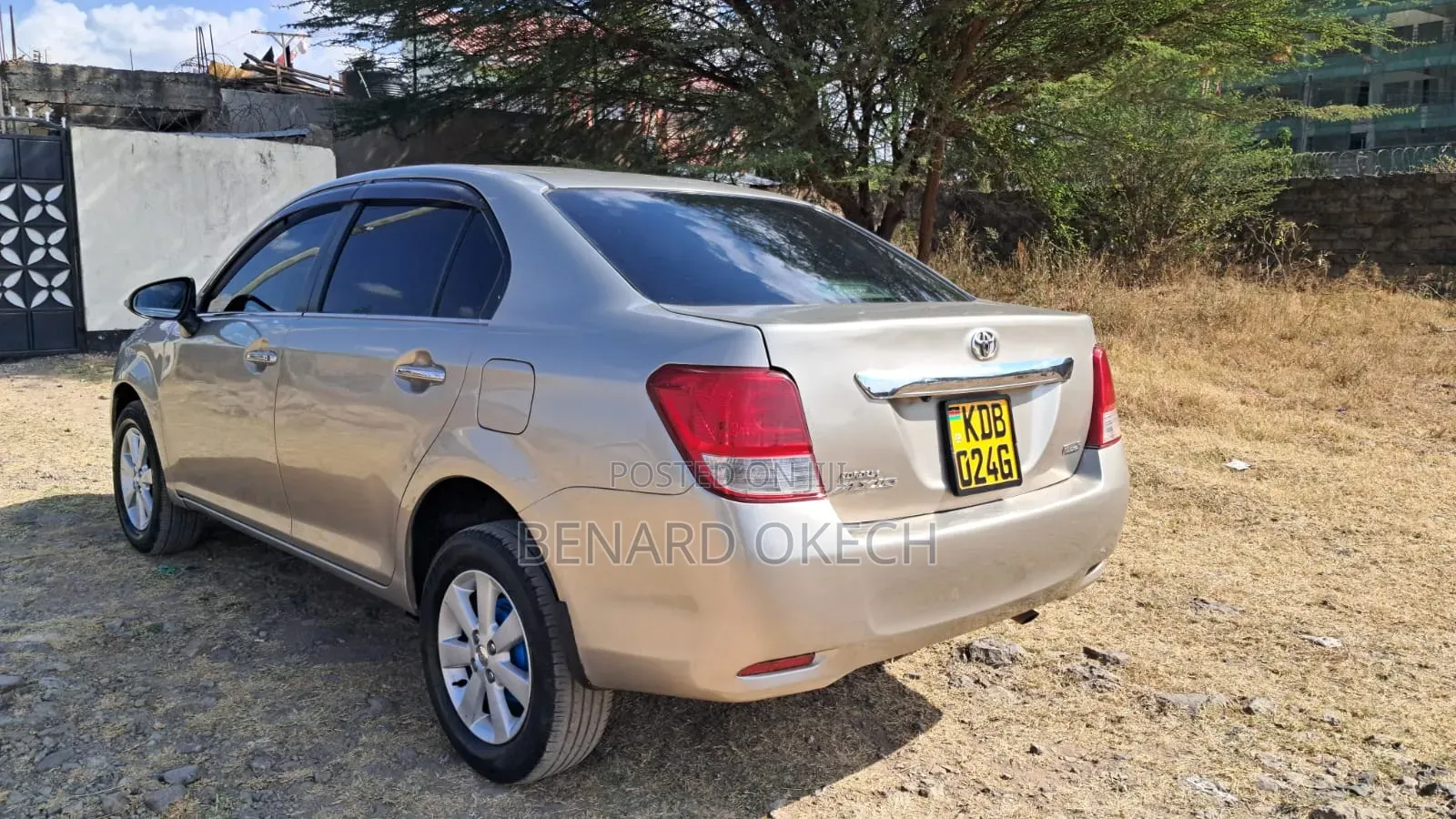 Toyota Axio 2013 Gold