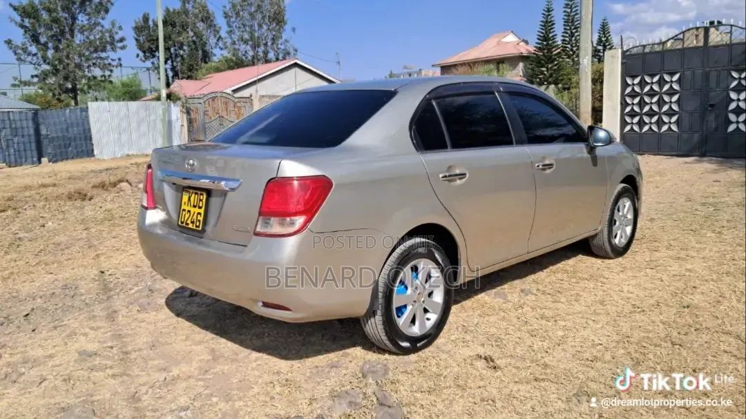 Toyota Axio 2013 Gold