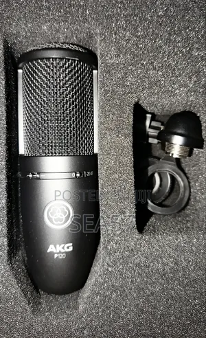 AKG P120 Condenser Microphone