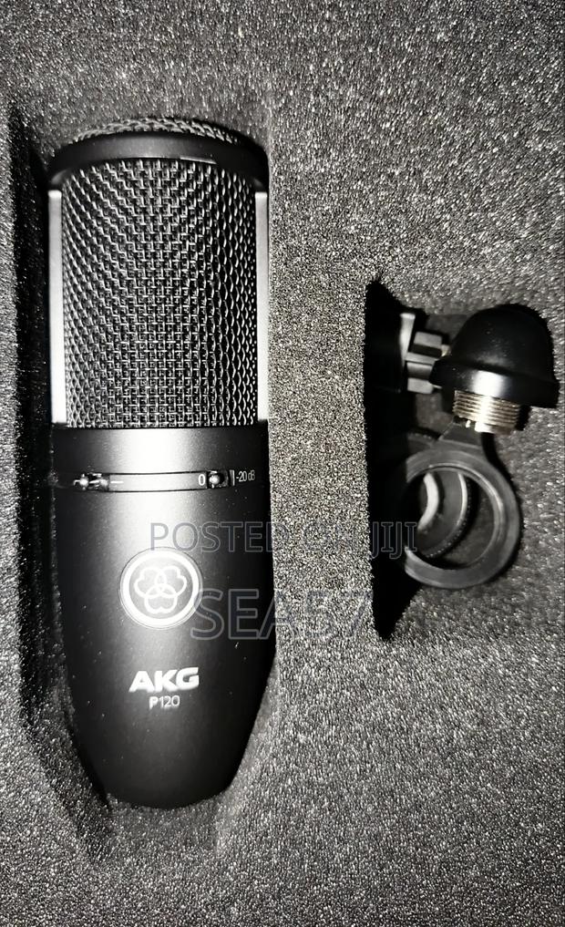 AKG P120 Condenser Microphone