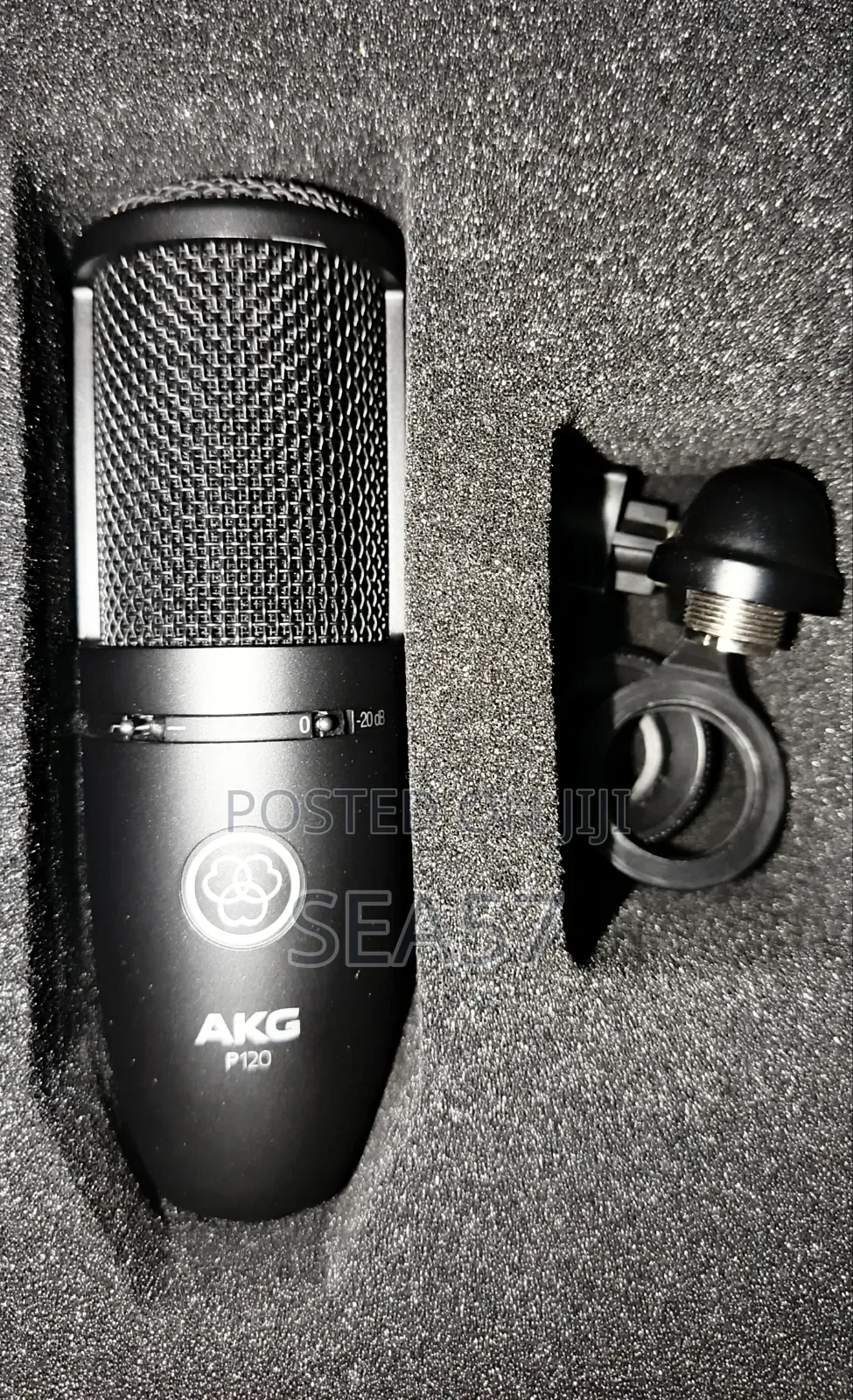AKG P120 Condenser Microphone