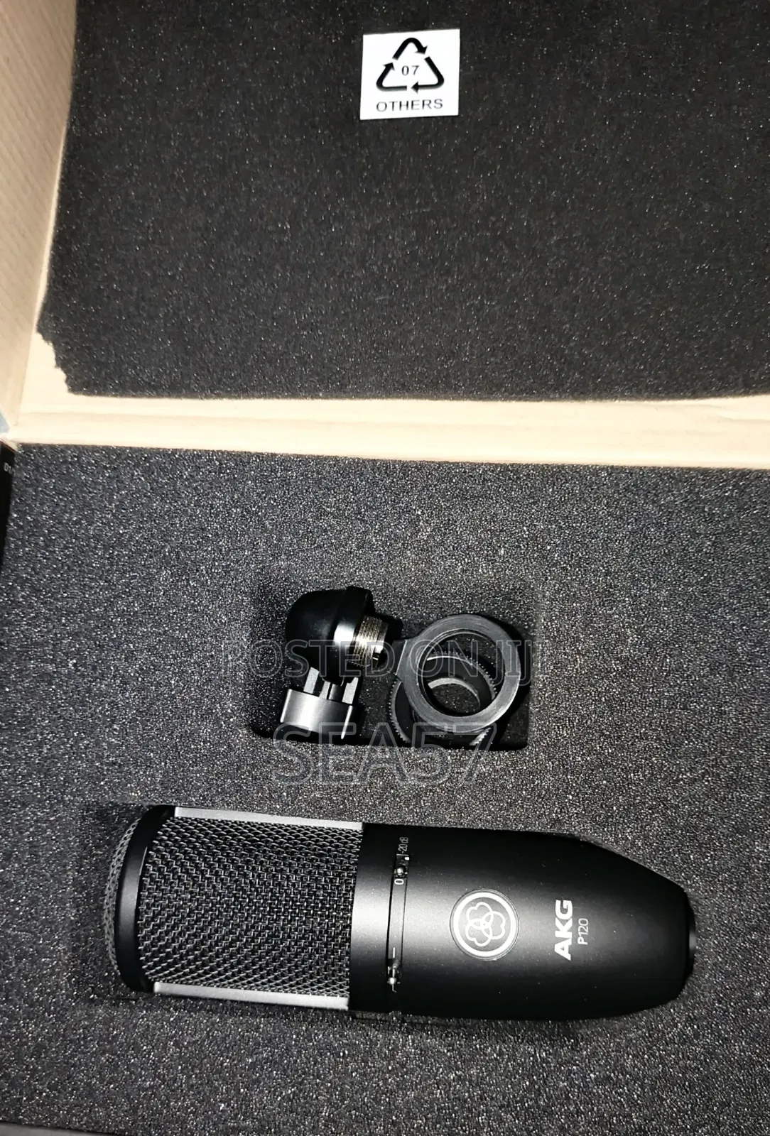 AKG P120 Condenser Microphone