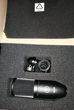AKG P120 Condenser Microphone