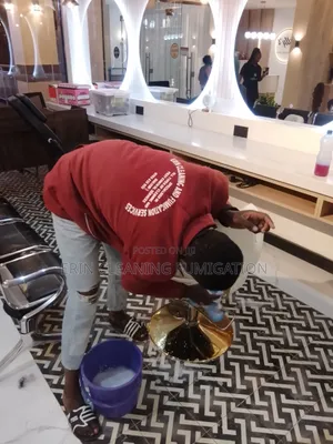 Cleaners in Houses Best Machine Services
