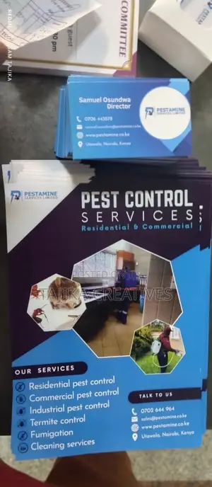 Business Cards and Flyers