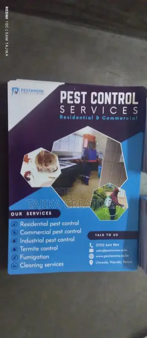 Business Cards and Flyers