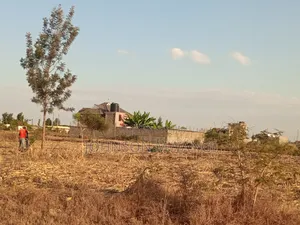 Prime Plot Magomano Area Murera