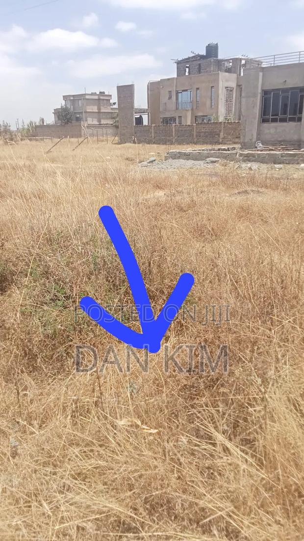 50by100ft Plot in Distress Sale - thumbnail 5