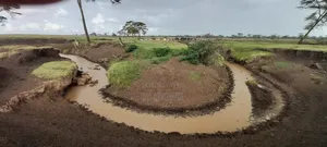 2,077 Acres Available for Sale in Mutara, Laikipia.