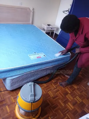 Mattress Cleaning Services Done Properly
