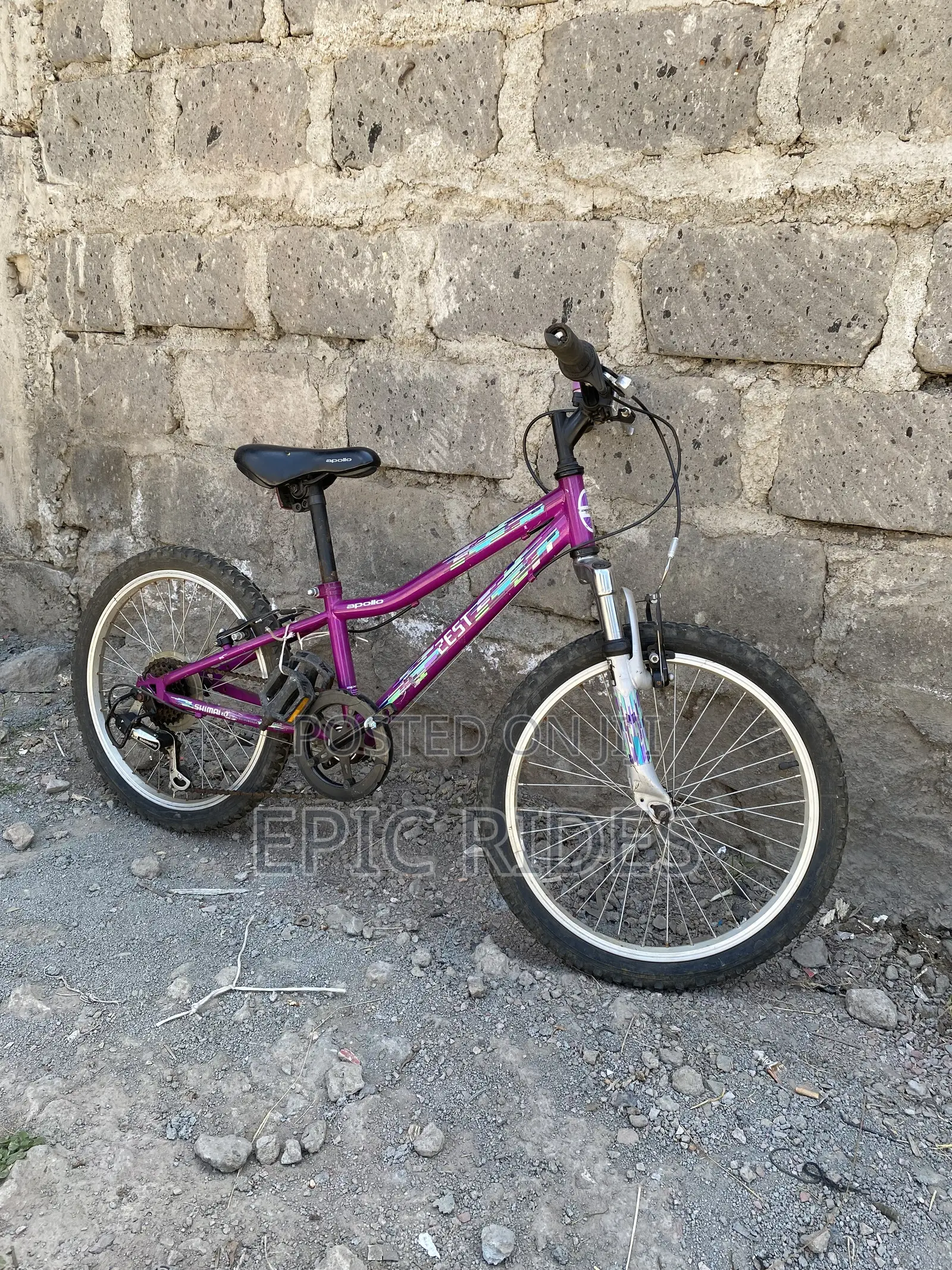Apollo Mountain Bike