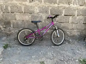 Apollo Mountain Bike
