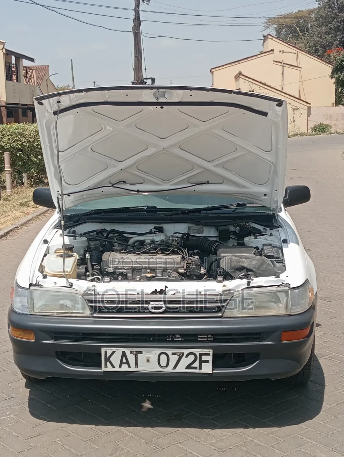 Toyota Corolla 1999 White