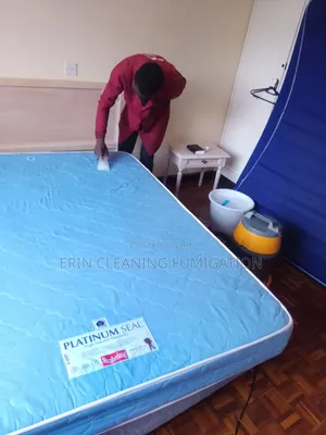 Best Mattress Cleaning Services Done Today