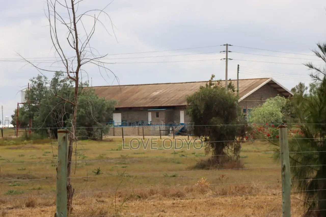 Isinya Highway Plots for Sale With Ready Tittle Deeds