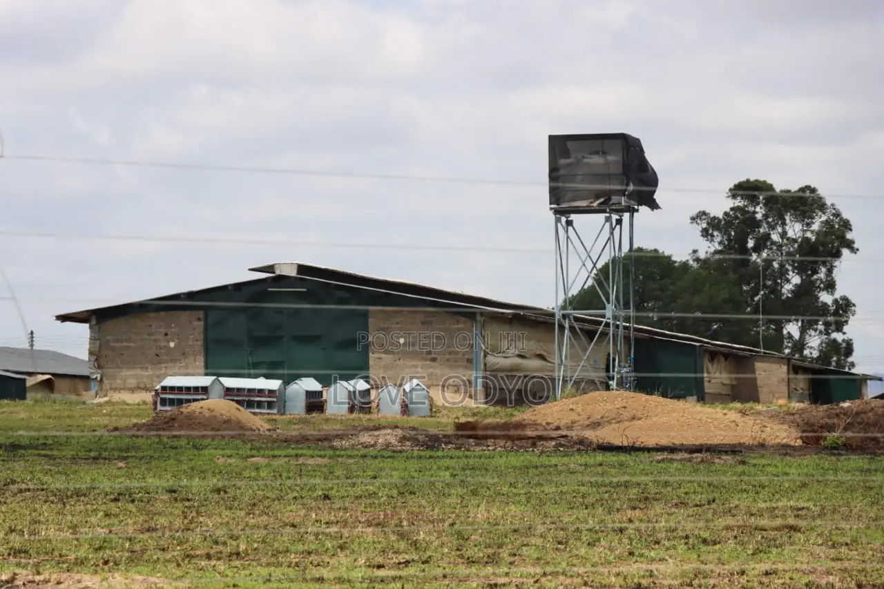 Isinya Highway Plots for Sale With Ready Tittle Deeds
