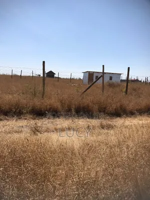 Affordable Plots for Sale