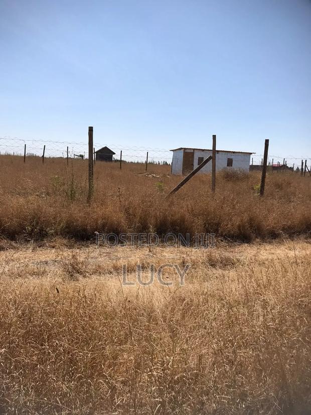 Affordable Plots for Sale
